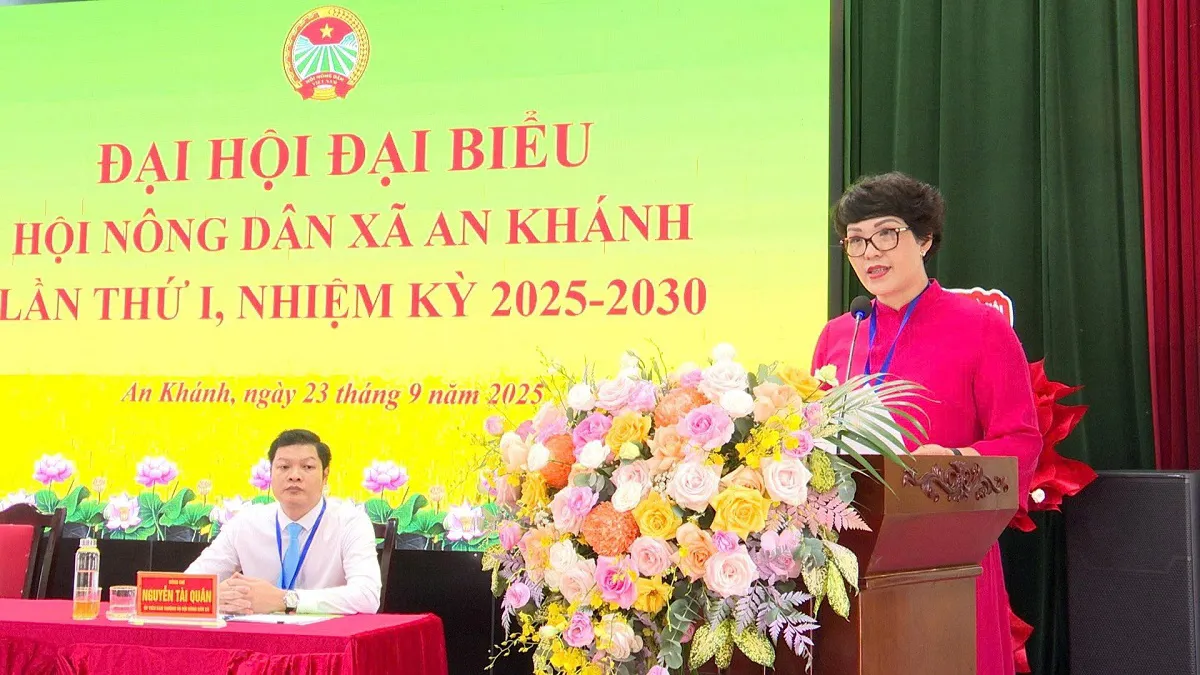 Hình ảnh 4