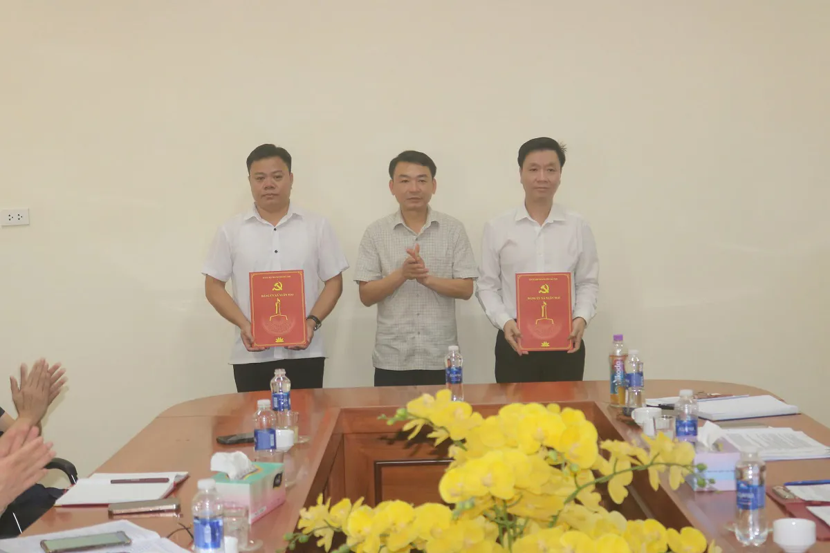 Hình ảnh 2