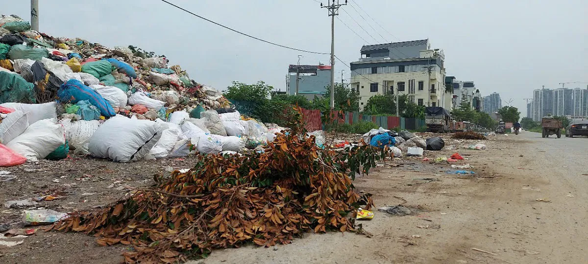 Hình ảnh 2