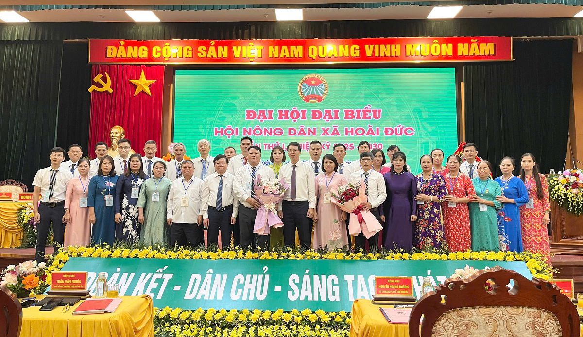 Hình ảnh 2