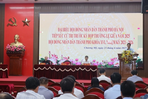 Sẽ khởi công dự án cải tạo đê Tả Bùi - Hữu Đáy trong năm 2025