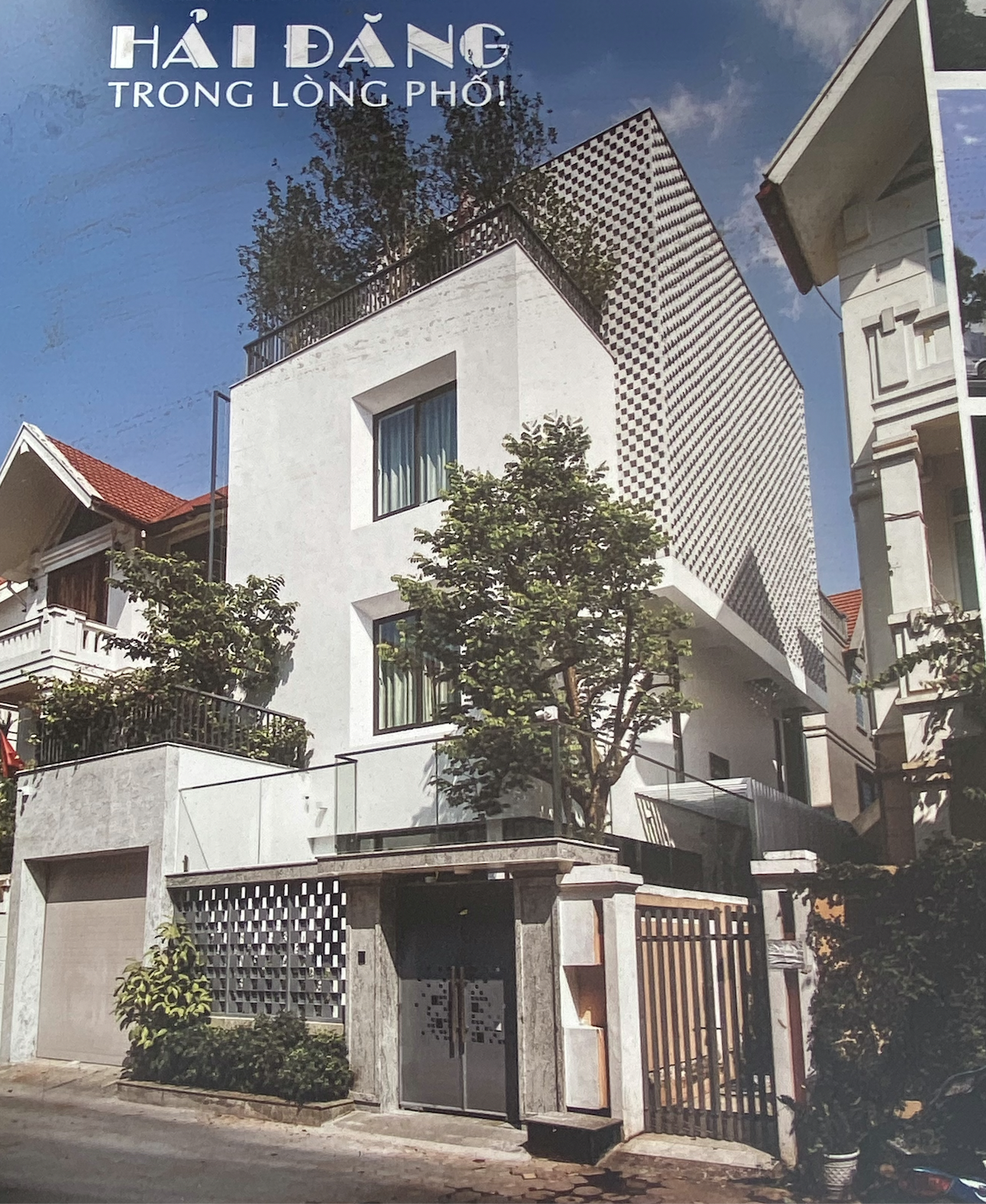 Hình ảnh 1