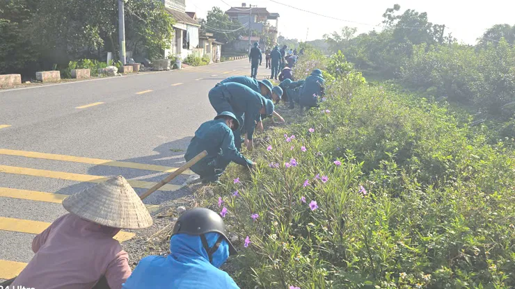 Hình ảnh 2
