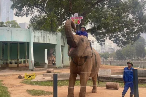 Vườn thú Hà Nội tổ chức chuỗi hoạt động Noel – Tết Dương lịch 2026