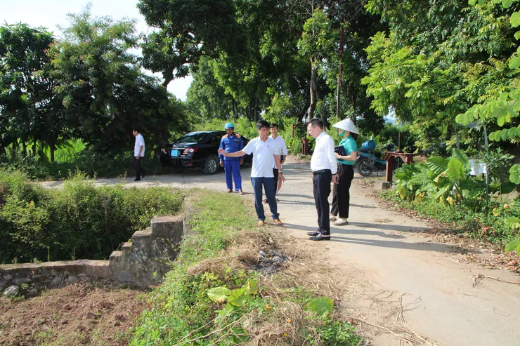 Hình ảnh 2