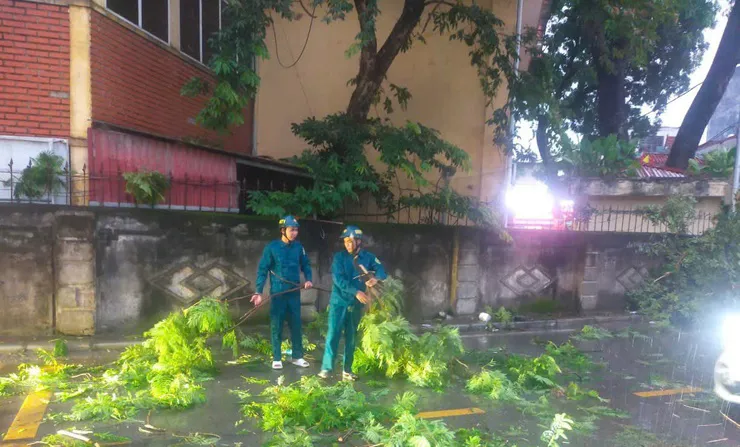 Xã Vân Đình: phòng chống mưa bão với phương châm 4 tại chỗ