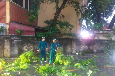 Xã Vân Đình: phòng chống mưa bão với phương châm 4 tại chỗ
