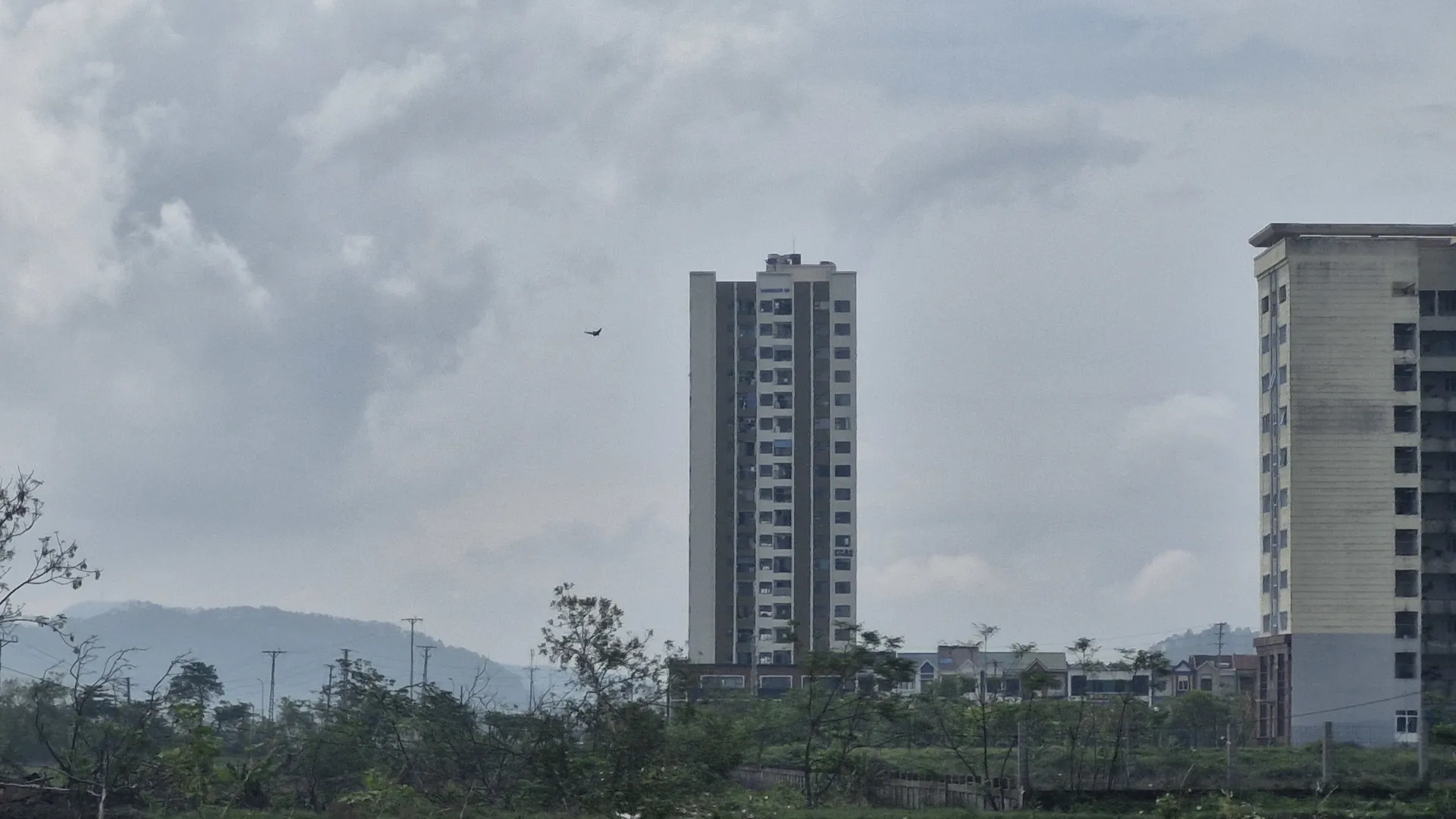 Hình ảnh 7