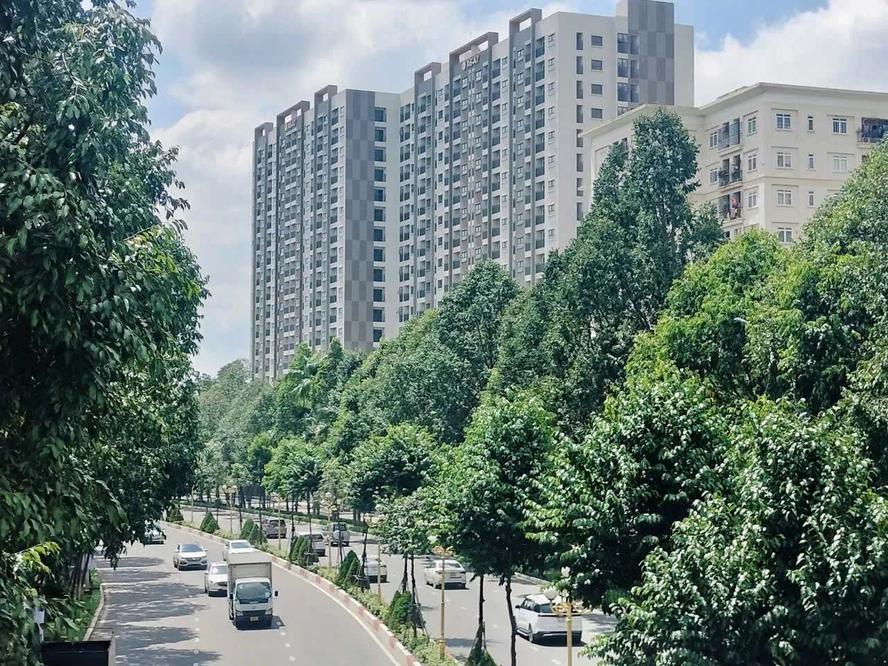Hình ảnh 8