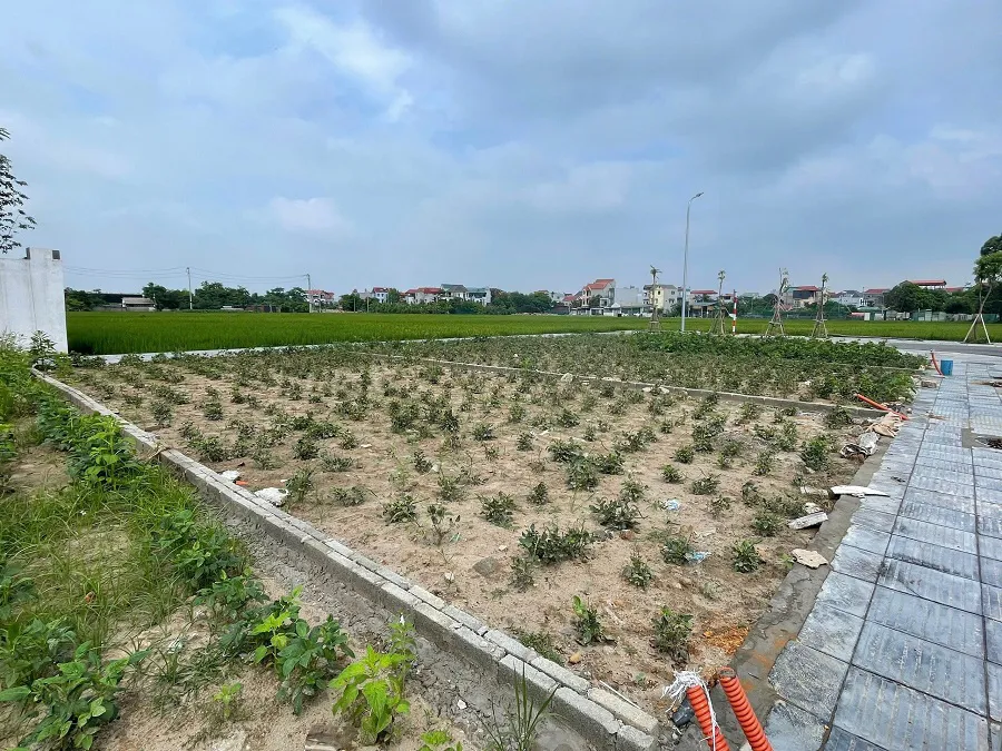 Hình ảnh 1