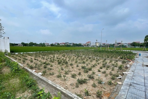 Đất nền Đông Anh lại rục rịch tăng giá sau thông tin Hà Nội thí điểm cơ chế đặc thù