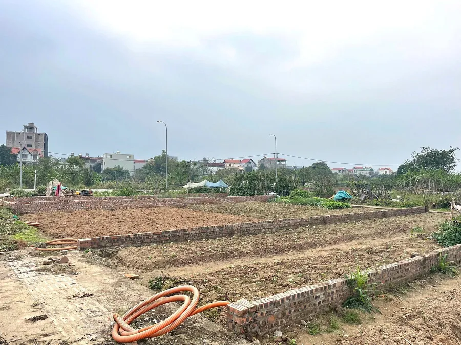 Hình ảnh 2