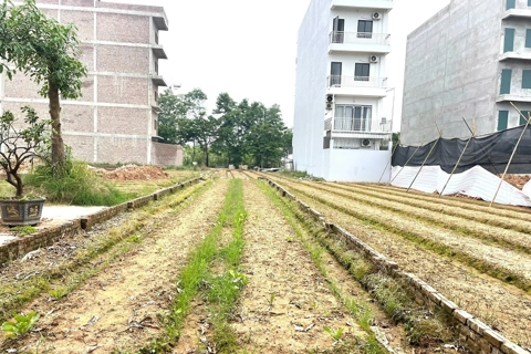 Giá đất nền tách thửa ven đường Vành đai 4 liên tục “tăng nóng”
