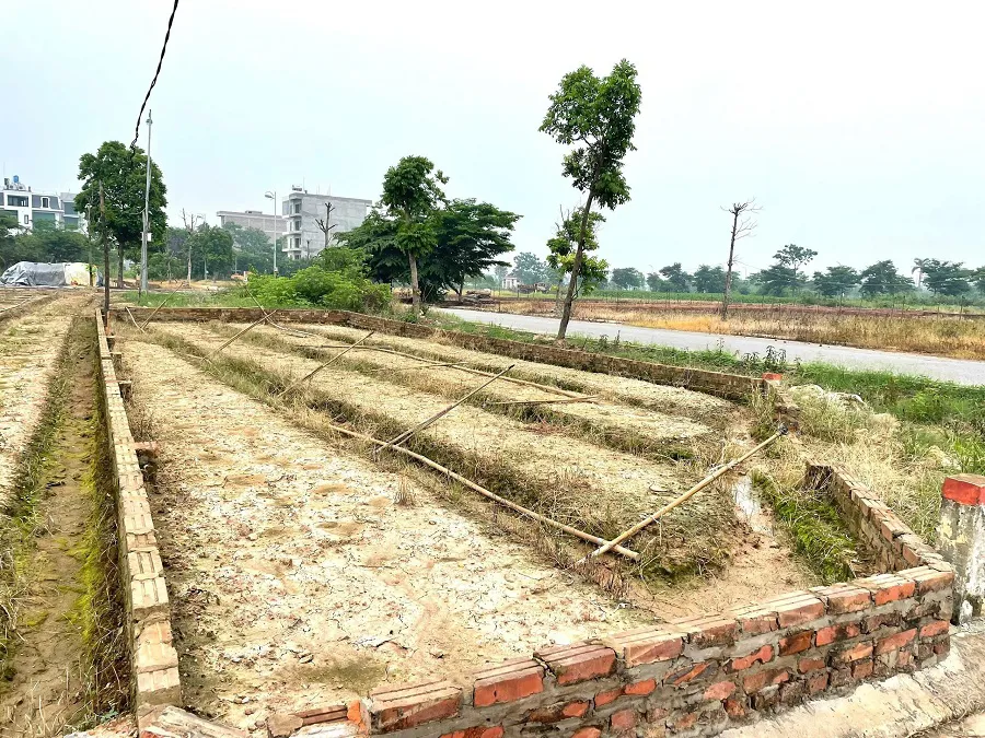 Hình ảnh 2
