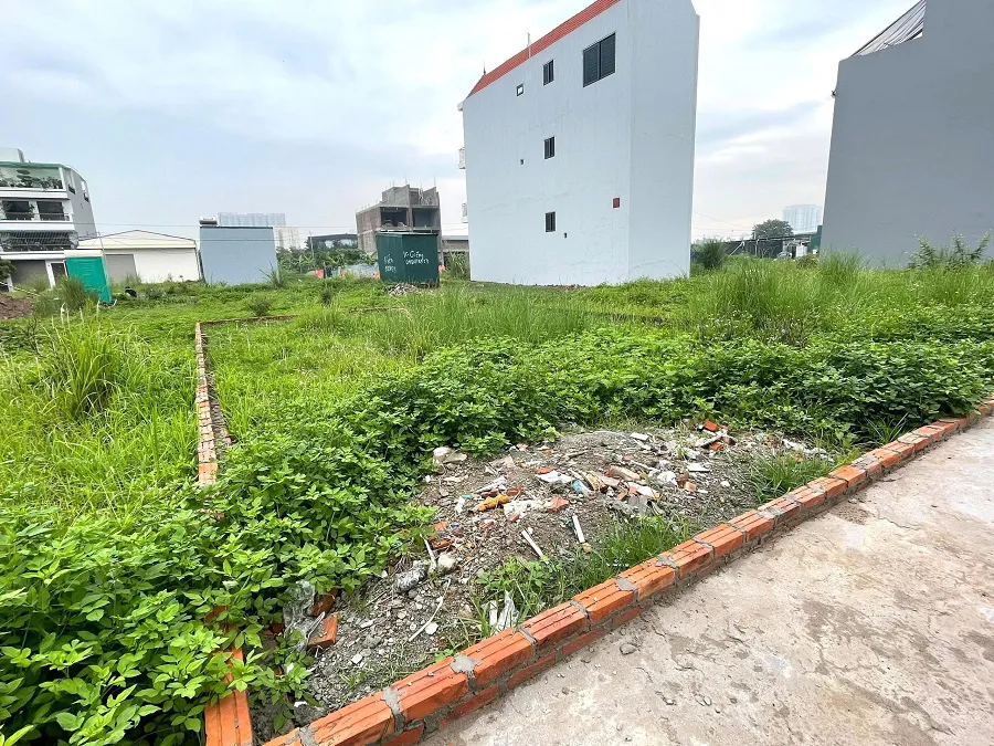 Hình ảnh 1
