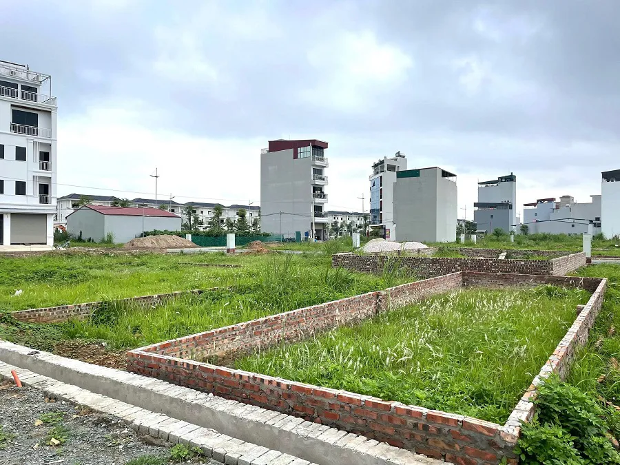 Hình ảnh 2