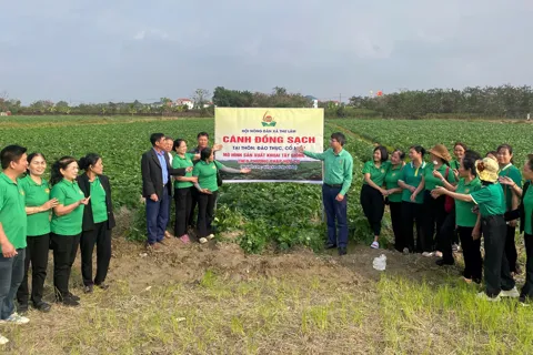 Xã Thư Lâm đẩy mạnh mô hình sản xuất nông nghiệp kinh tế cao