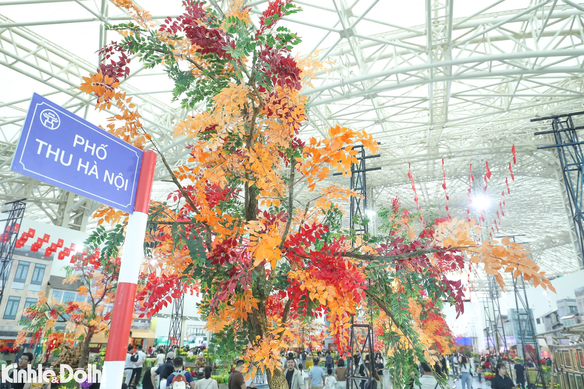 Hình ảnh 4