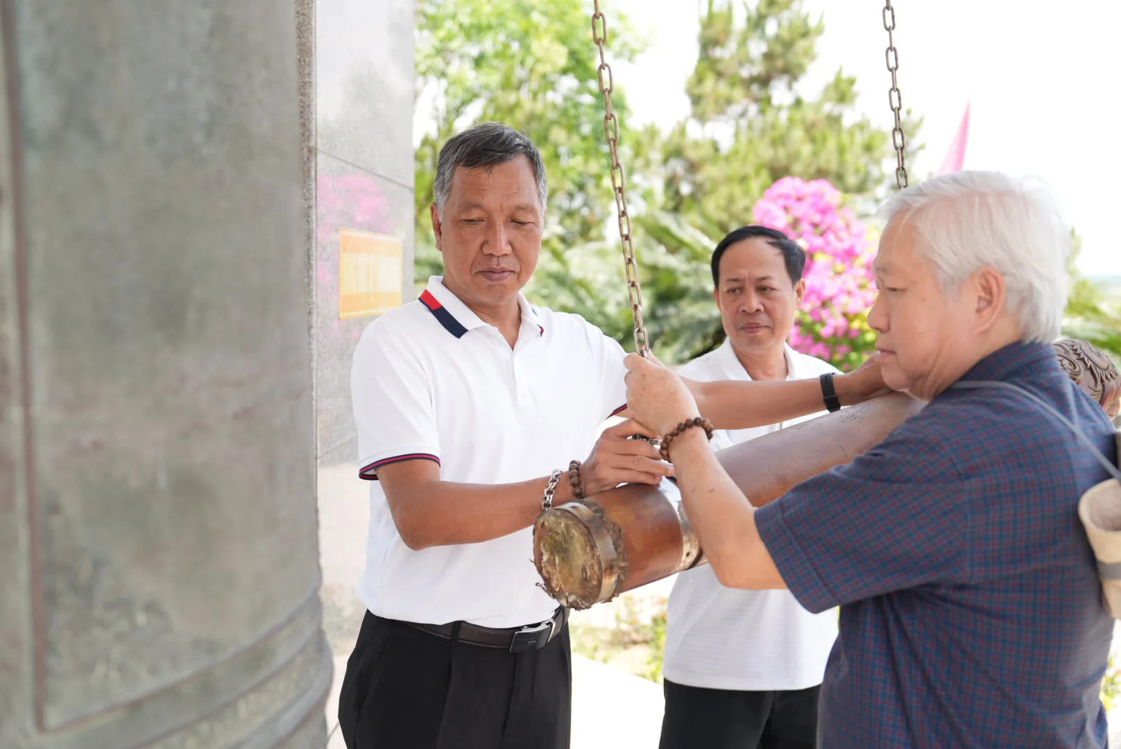 Hình ảnh 11