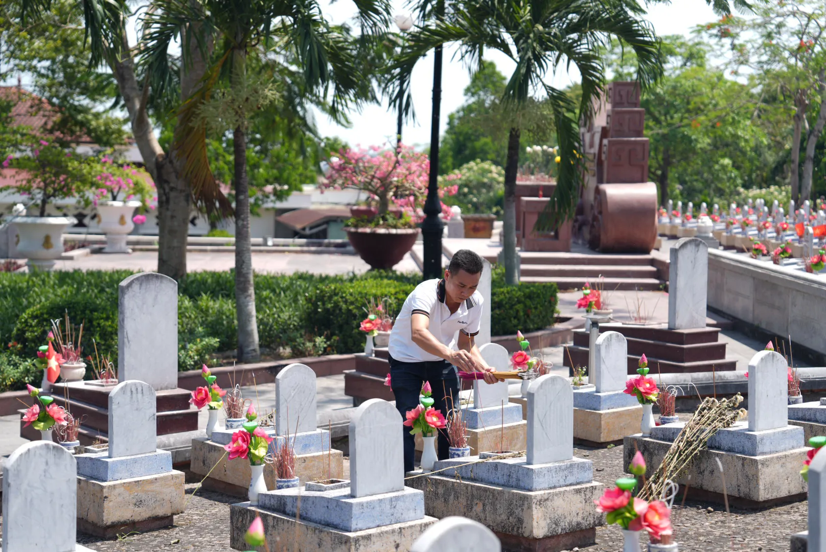 Hình ảnh 14