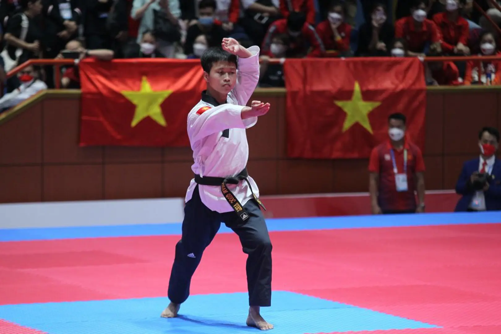 Chuyên nghiệp hóa taekwondo Hà Nội
