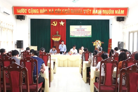 Xã Vật Lại: góp ý xây dựng văn kiện Đại hội Đảng bộ xã lần thứ I
