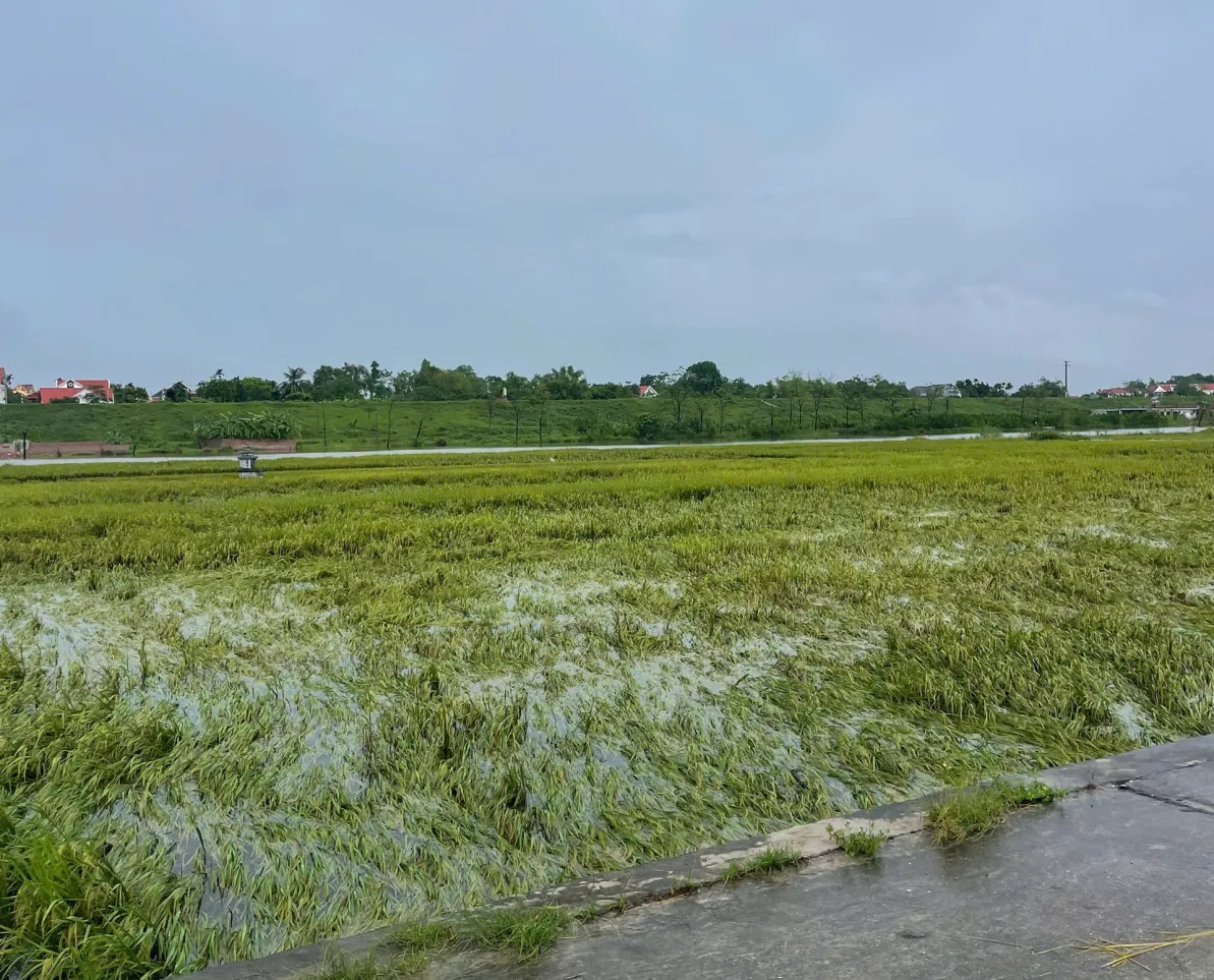 Hình ảnh 2