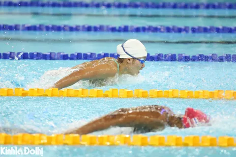 Lịch thi đấu Đoàn Thể thao Việt Nam tại SEA Games 33 ngày 11/12: bơi tiếp tục "săn vàng"
