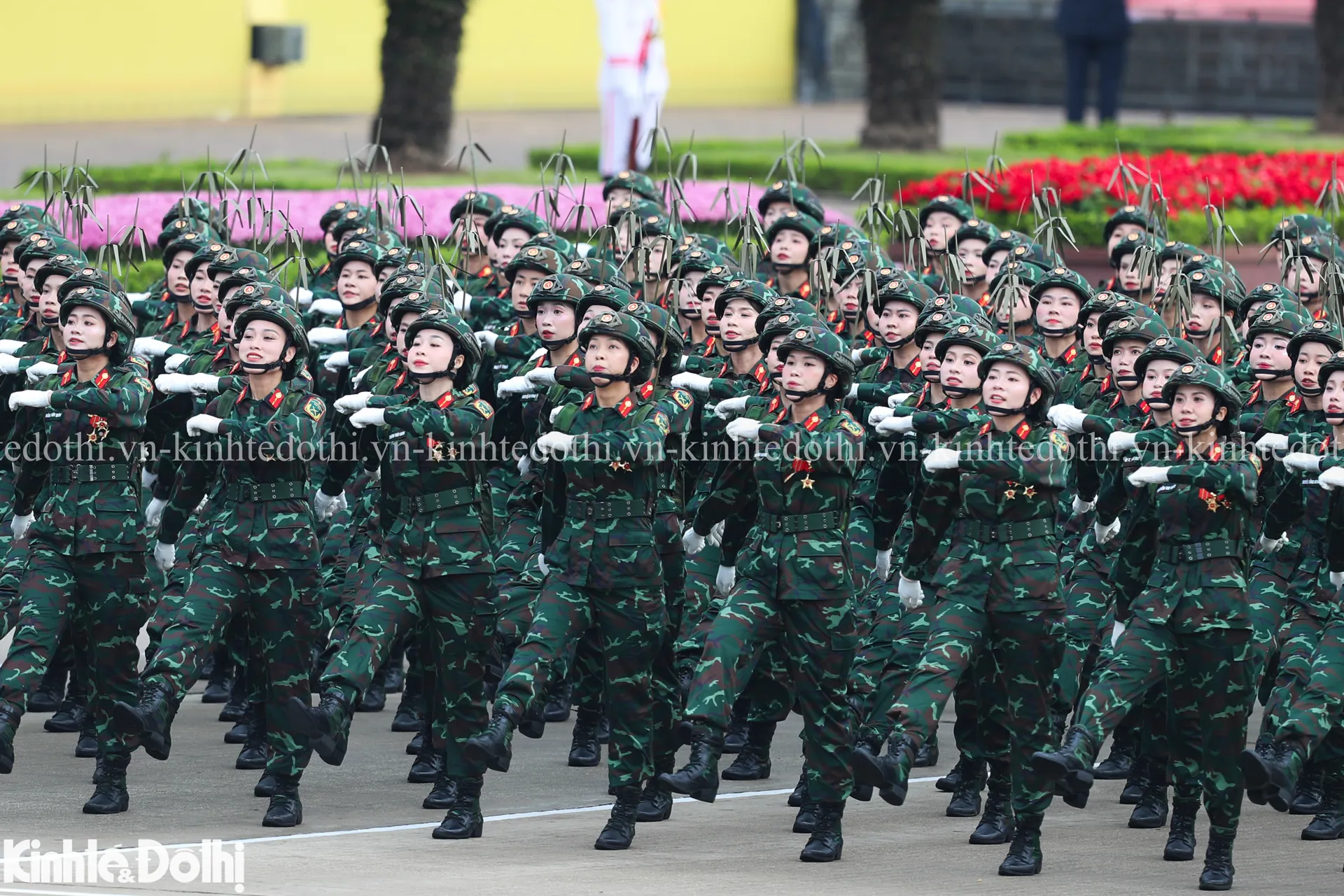 Hình ảnh 8