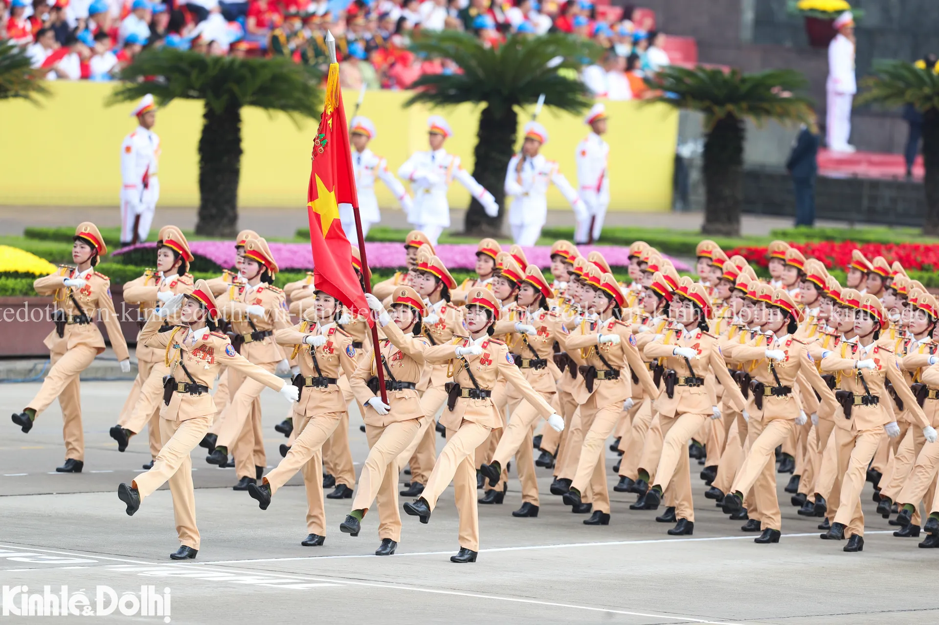 Hình ảnh 15