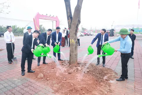 Xã đảo Minh Châu phấn đấu trồng mới 5.000 cây xanh trong năm 2026