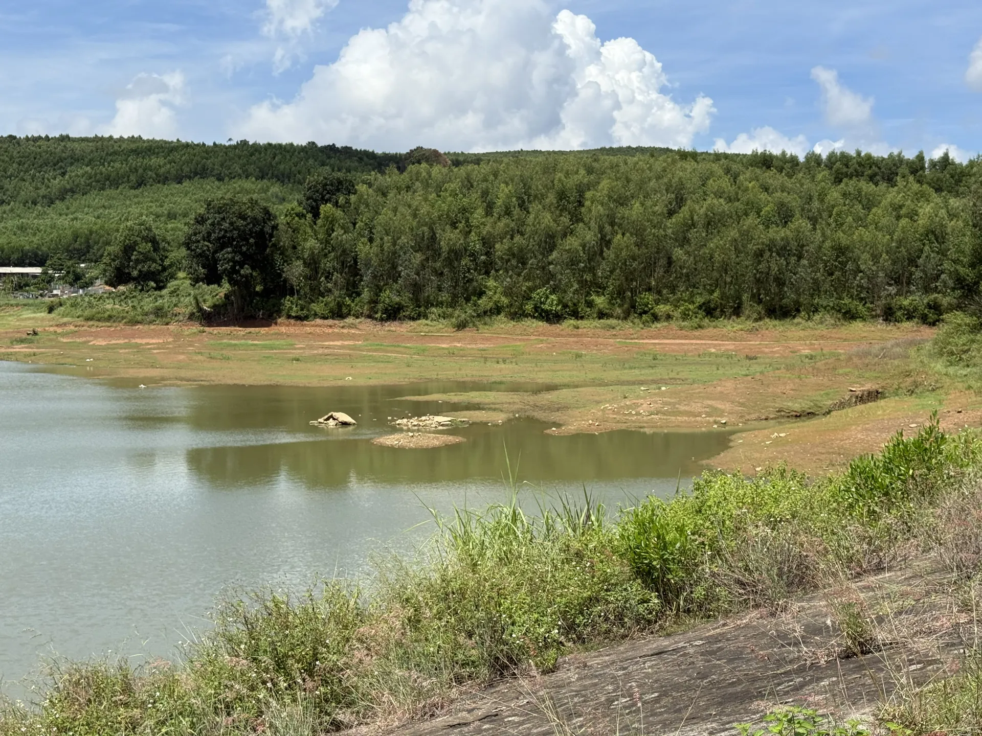 Hình ảnh 3