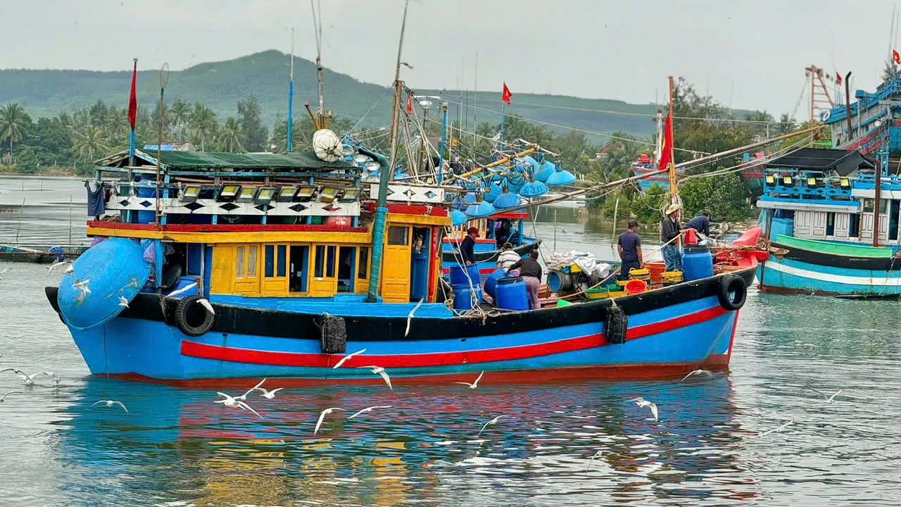 Hình ảnh 2