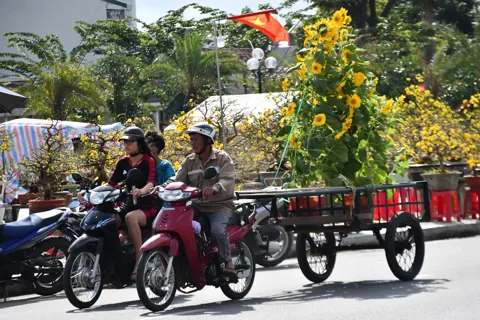 Mưu sinh theo mùa hoa Tết