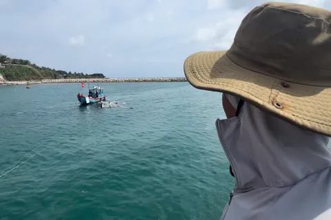 Nốt lặng giữa kỳ tích ở Lý Sơn