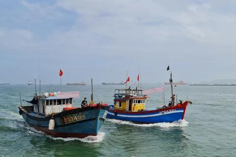 Quảng Ngãi triển khai hành động cao điểm chống khai thác IUU

