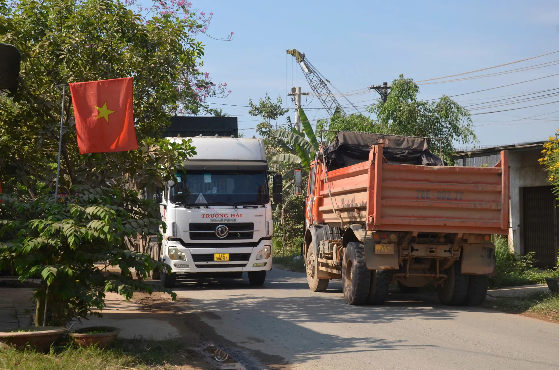 Hình ảnh 2
