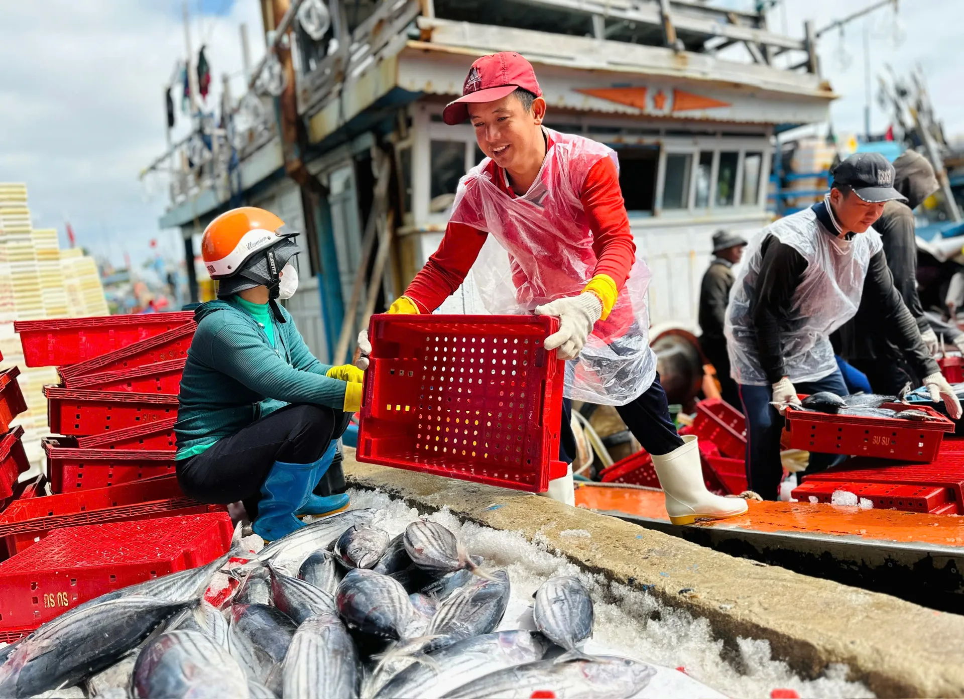 Quảng Ngãi quyết liệt chống khai thác IUU