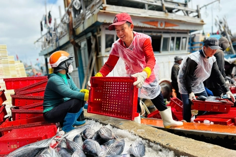Quảng Ngãi quyết liệt chống khai thác IUU