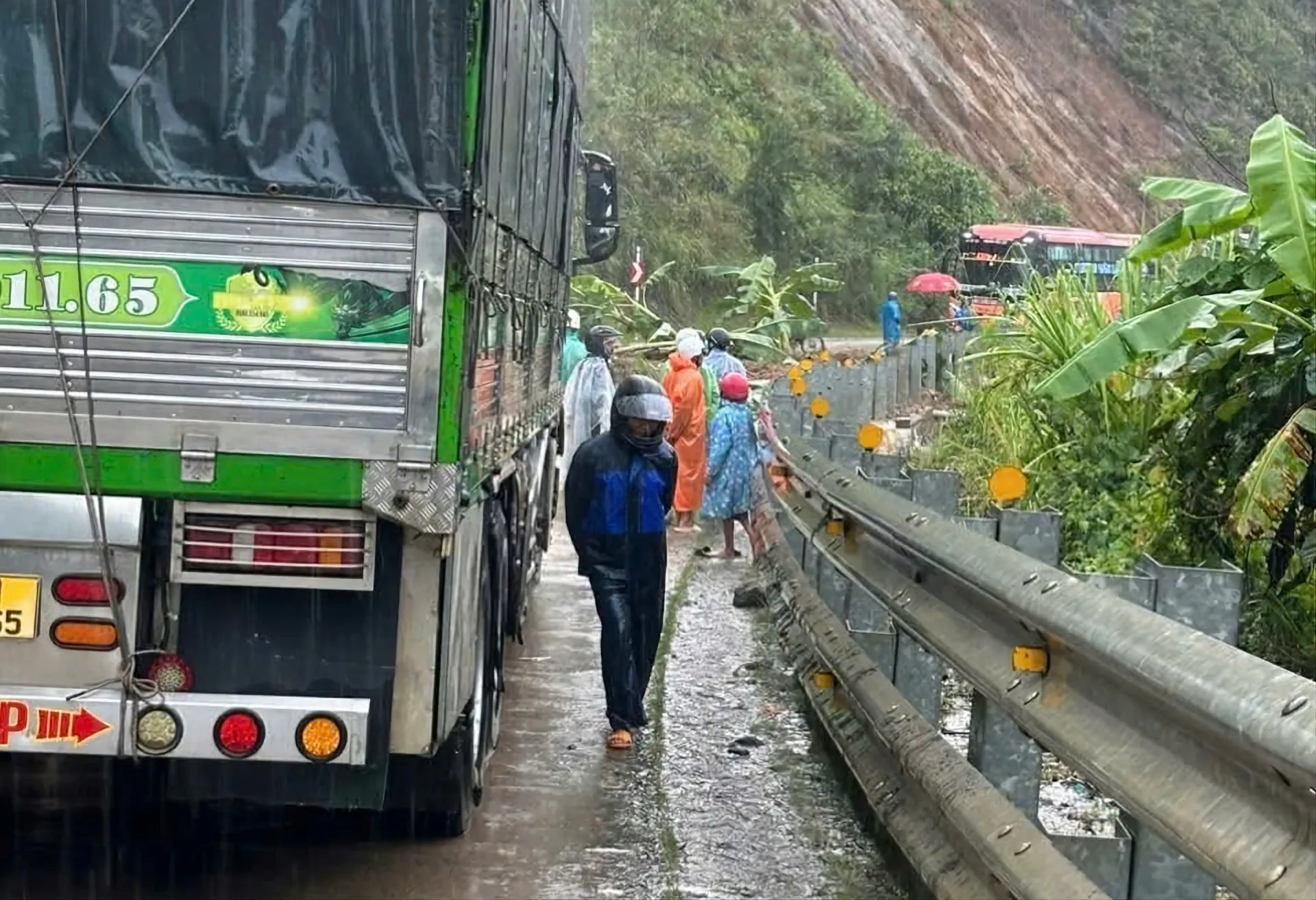 Hình ảnh 7