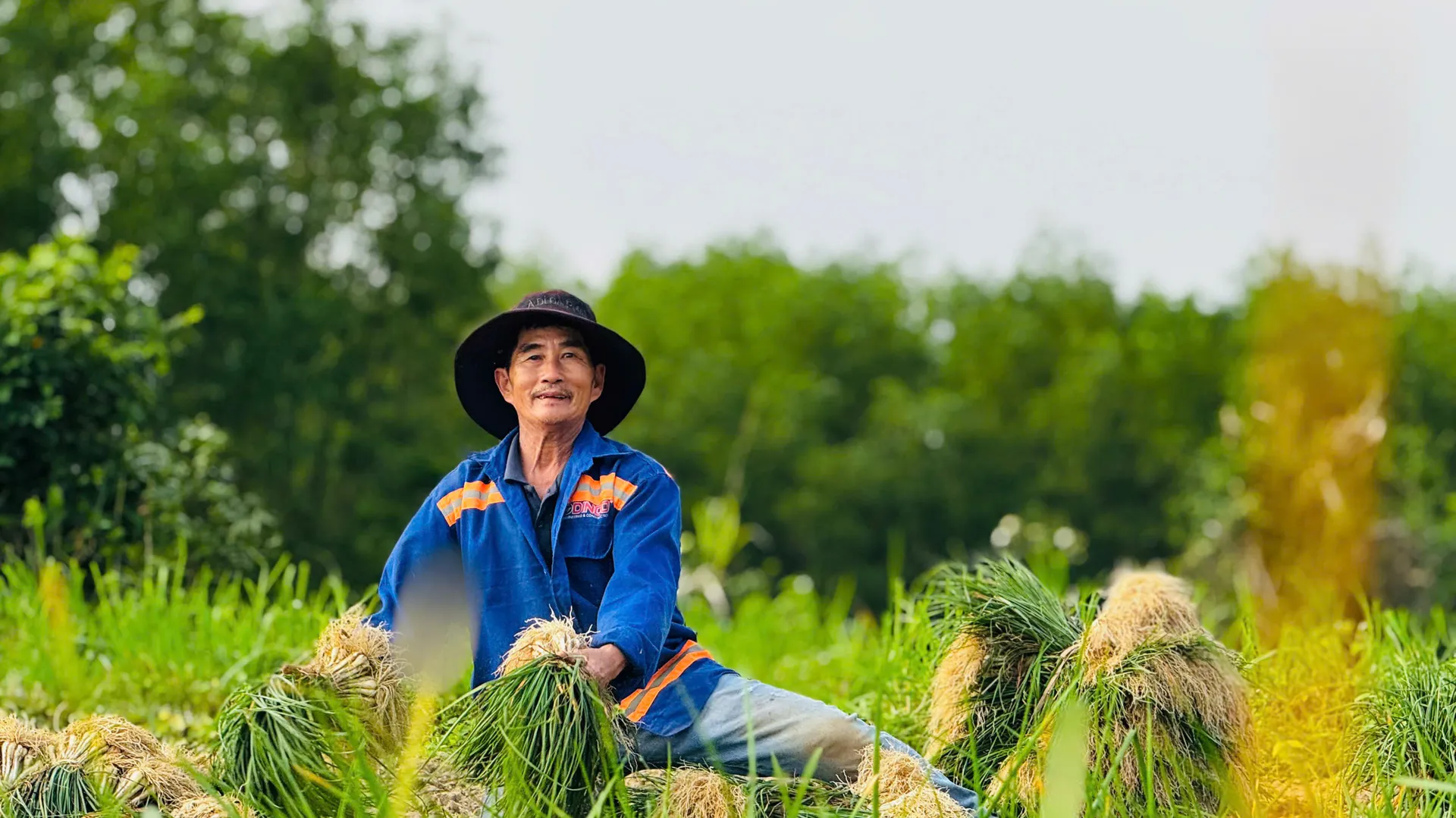 Quảng Ngãi vào mùa thu hoạch kiệu Tết