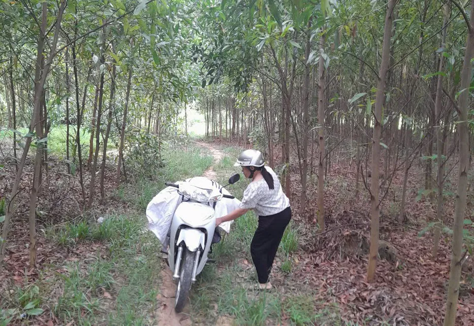 Hình ảnh 2