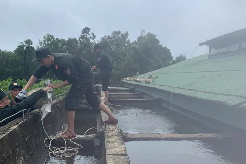 Quảng Ngãi hoãn toàn bộ cuộc họp chưa cần thiết để tập trung ứng phó bão số 13 Kalmaegi