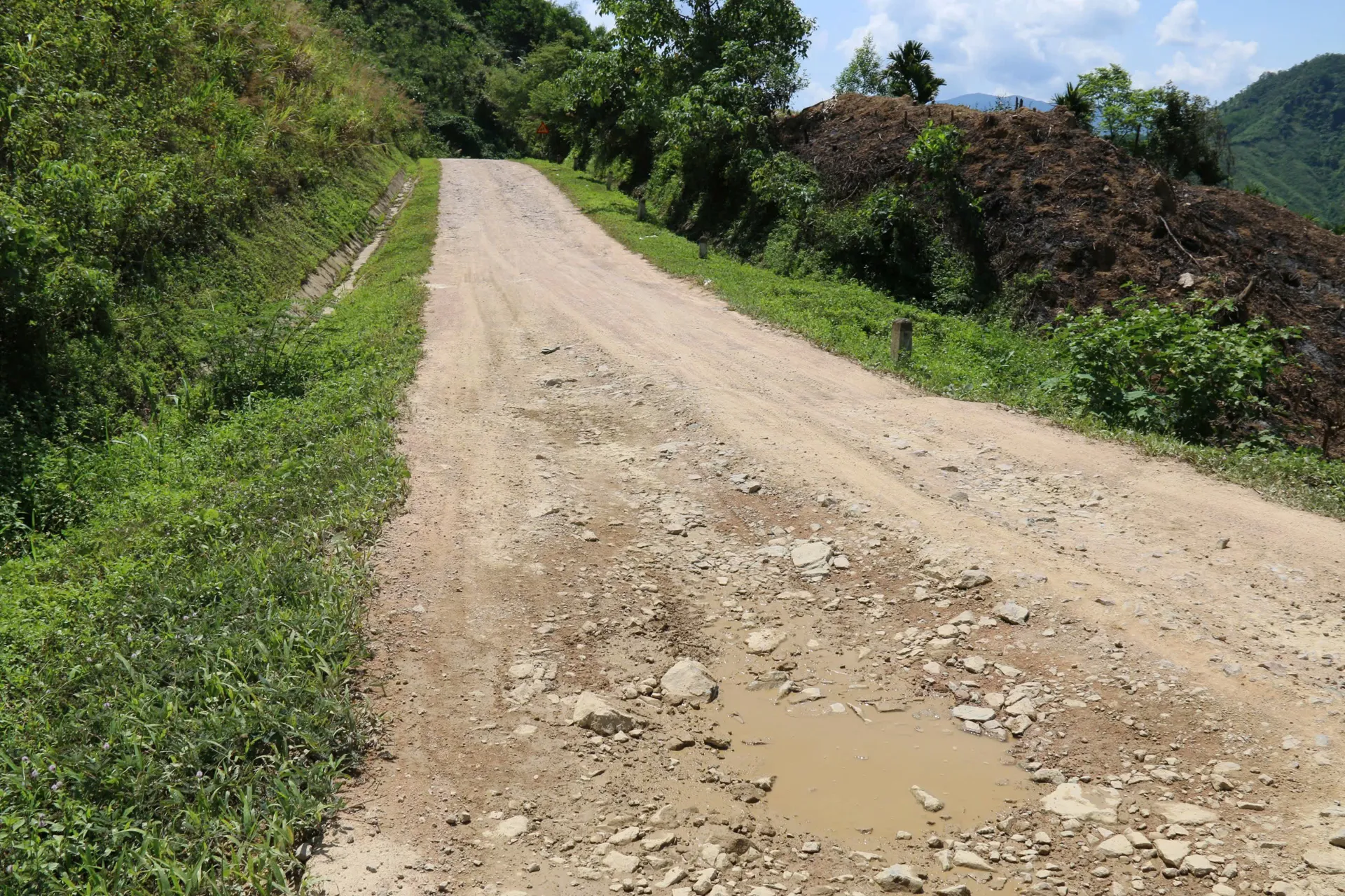 Hình ảnh 4