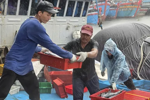 Quảng Ngãi tập trung khắc phục tồn tại trong chống khai thác IUU