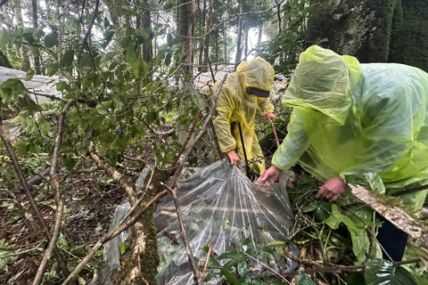 Thủ phủ sâm Ngọc Linh chao đảo vì mưa to, gió lốc