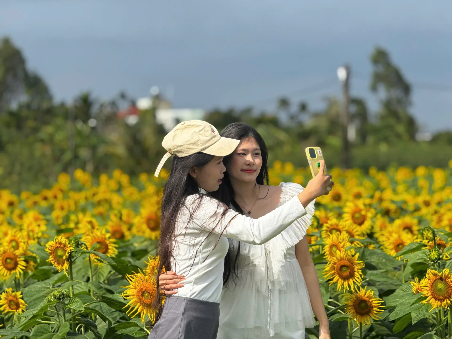 “Cơn sốt” check-in ảnh đẹp vườn hướng dương những ngày đầu năm mới ở Quảng Ngãi
