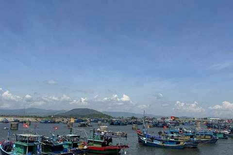 Quảng Ngãi: hơn 4.200 lao động trên biển đã nhận cảnh báo bão số 3