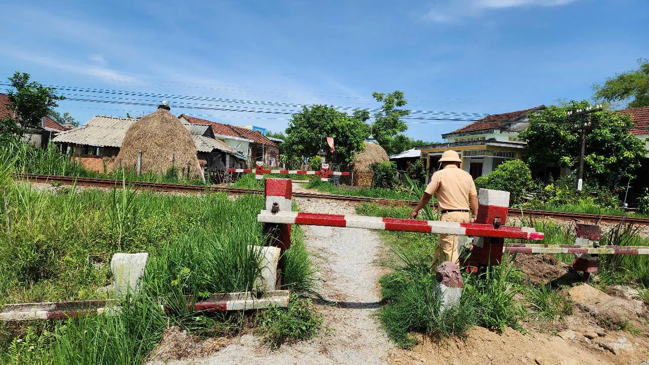 Hình ảnh 3