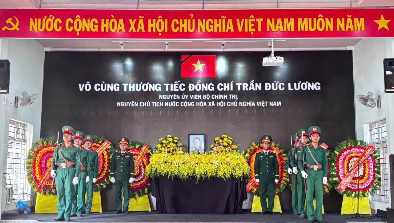 Hình ảnh 5